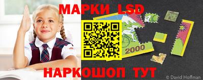 шишки Усть-Илимск